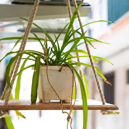 Appartamento A Nonna Mola di Bari